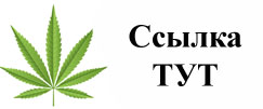Купить наркотики в Великом Новгороде